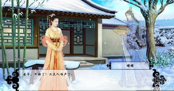 出冷宫游戏,宫廷权谋与爱情纠葛的奇幻之旅(图3)