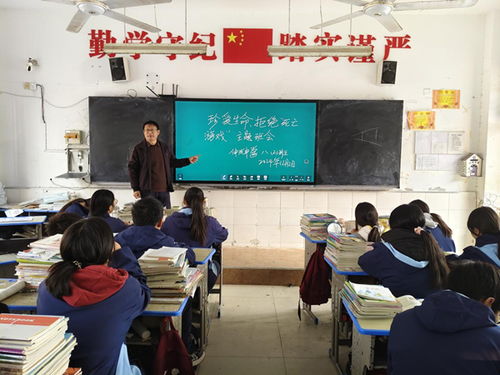 班会游戏初中,共筑班级和谐(图2)