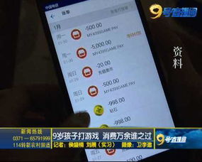 支付的游戏,揭秘支付驱动下的游戏经济奇迹(图3) 支付的游戏,揭秘支付驱动下的游戏经济奇迹(图3)