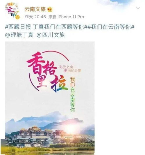 游戏丁真,游戏世界中的传奇英雄(图2) 游戏丁真,游戏世界中的传奇英雄(图2)