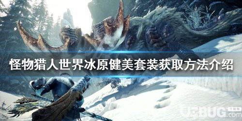 冰原游戏,挑战极限的生存之旅(图3) 冰原游戏,挑战极限的生存之旅(图3)