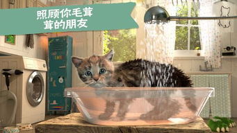 拦小猫游戏,拦小猫游戏的趣味体验(图1)