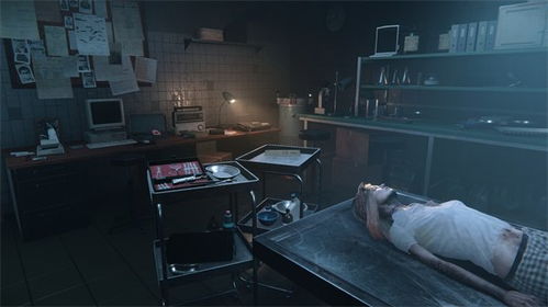 尸检员游戏,揭开死亡背后的真相(图1) 尸检员游戏,揭开死亡背后的真相(图1)