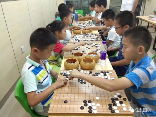儿童走棋游戏,培养智慧与策略的趣味之旅(图1) 儿童走棋游戏,培养智慧与策略的趣味之旅(图1)