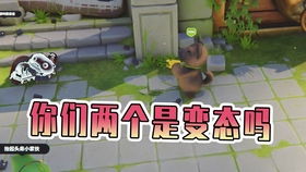 榨菜游戏名,挑战极限的竞技盛宴(图3) 榨菜游戏名,挑战极限的竞技盛宴(图3)