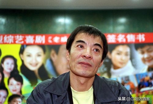 刘威游戏,探索虚拟世界的无限魅力(图2)