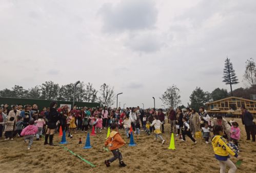 搭桥过河游戏亲子游戏,搭桥过河游戏欢乐多(图2) 搭桥过河游戏亲子游戏,搭桥过河游戏欢乐多(图2)
