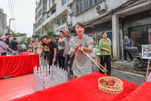 荔枝主题游戏,穿越果实的奇幻冒险之旅(图3) 荔枝主题游戏,穿越果实的奇幻冒险之旅(图3)