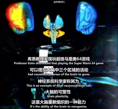 海马体 游戏,探索记忆深处的虚拟之旅(图3) 海马体 游戏,探索记忆深处的虚拟之旅(图3)