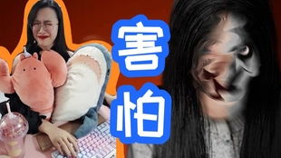 游戏助眠恐怖游戏,助眠恐怖游戏深度解析(图2) 游戏助眠恐怖游戏,助眠恐怖游戏深度解析(图2)