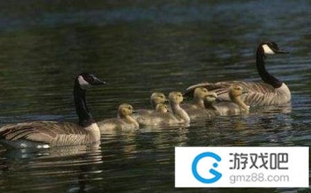 划水游戏词,轻松愉悦的休闲时光(图2) 划水游戏词,轻松愉悦的休闲时光(图2)