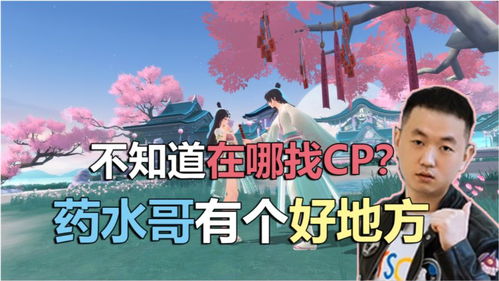寻找cp游戏,共度甜蜜时光(图1) 寻找cp游戏,共度甜蜜时光(图1)