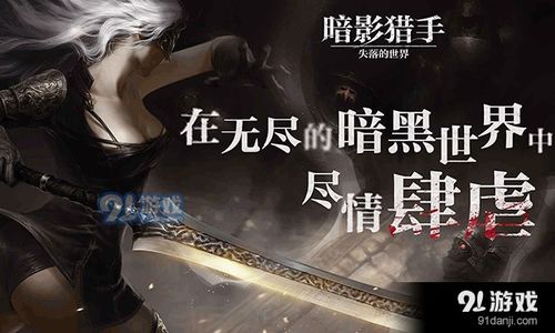 暗影猎手传奇免费下载 (图3) 暗影猎手传奇免费下载 (图3)