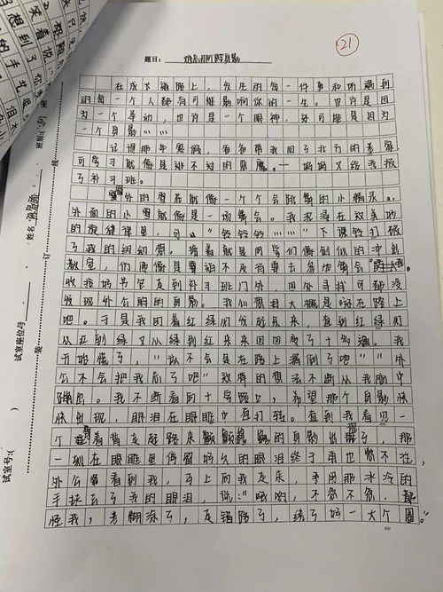 游戏人生作文800字,探索虚拟世界与真实人生的交织(图1)