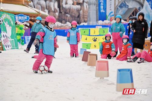 雪地足球游戏,雪地足球游戏的欢乐竞技场(图3)