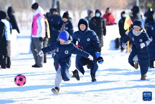 雪地足球游戏,雪地足球游戏的欢乐竞技场(图2)