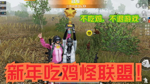 吃鸡进入不了游戏,揭秘无法进入游戏背后的原因(图2) 吃鸡进入不了游戏,揭秘无法进入游戏背后的原因(图2)