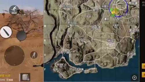 玄羽游戏,探寻神秘古风世界的奇幻之旅(图1)