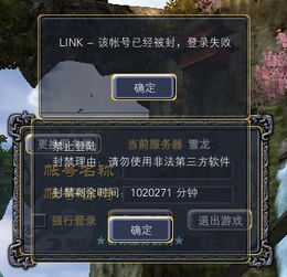 游戏gm版什么意思,探寻虚拟世界的权力与奥秘(图3)