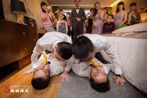 寻找宠物接亲游戏,一场欢乐的寻找宠物接亲游戏盛宴(图1)