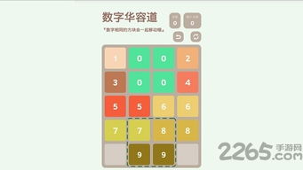 迷踪推盘 (图3) 迷踪推盘 (图3)