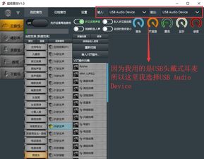 玩游戏怎么变声音,轻松打造独特游戏角色声音(图2) 玩游戏怎么变声音,轻松打造独特游戏角色声音(图2)