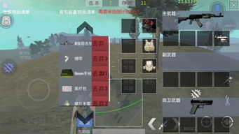 放逐游戏大逃杀秘籍,揭秘放逐游戏生存法则(图1)