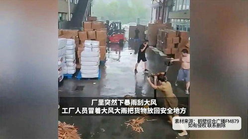 刮大风下大雨游戏,挑战极限的刺激冒险之旅(图3)