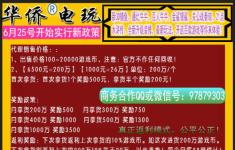网络电玩游戏代理,开启虚拟娱乐新纪元(图1)