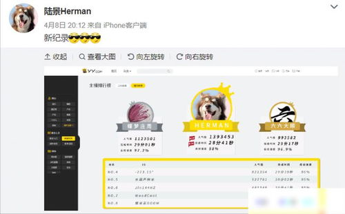 游戏主播常用的歌曲,主播热门歌曲大盘点(图3) 游戏主播常用的歌曲,主播热门歌曲大盘点(图3)