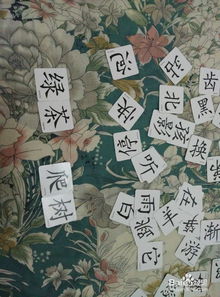 好玩的字卡游戏,畅游汉字世界的趣味之旅(图1) 好玩的字卡游戏,畅游汉字世界的趣味之旅(图1)