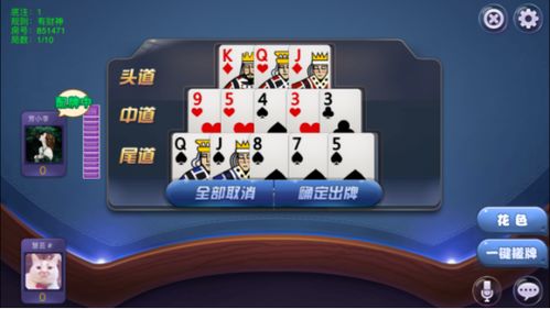 几点游戏开放,XX点盛大游戏开放盛典(图1) 几点游戏开放,XX点盛大游戏开放盛典(图1)