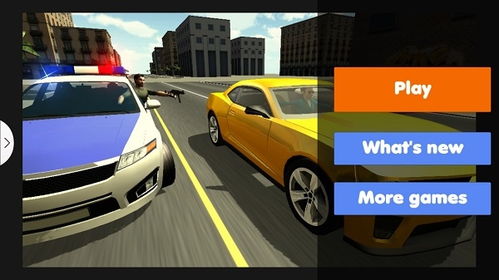 警车追击撞毁汽车 (图2)