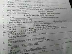 什么游戏填空动词,中的冒险之旅(图3)
