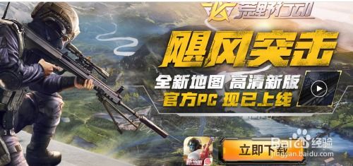 电脑有什么吃鸡游戏,盘点电脑上热门的吃鸡游戏(图3)