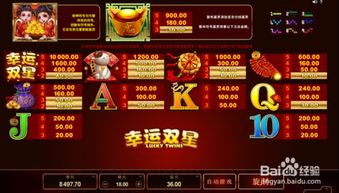 幸运双星游戏,赢取丰厚大奖的奇幻之旅(图1)