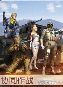 协同作战游戏,探索现代协同作战游戏的艺术与策略(图1) 协同作战游戏,探索现代协同作战游戏的艺术与策略(图1)