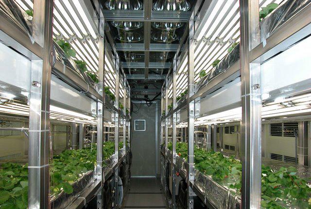 生物工厂游戏库：新宠儿热卖，动态抢先知！