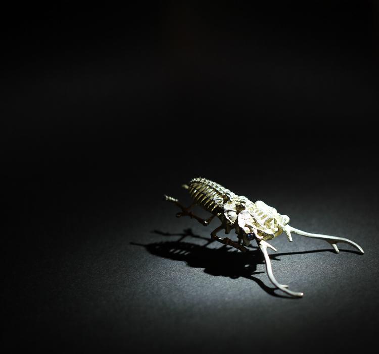 小森生活游戏新动态：生活玩法升级多功能加入