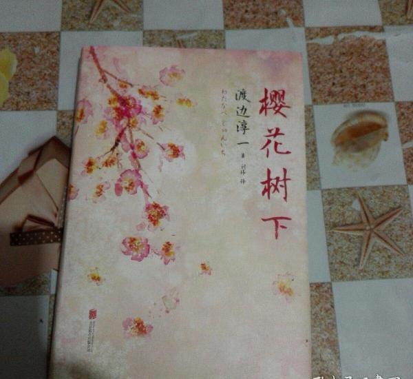 《落樱散华抄》