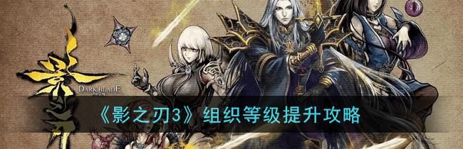 2023影之刃3角色最高等级多少