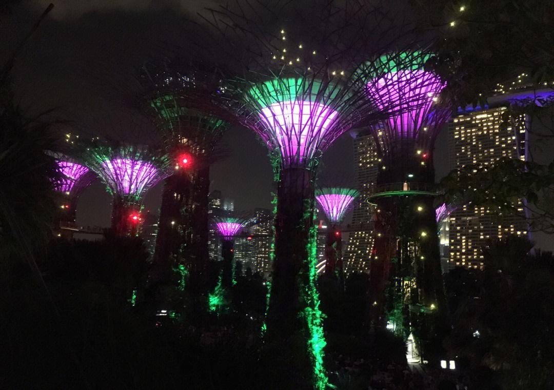 2023 nocturnal