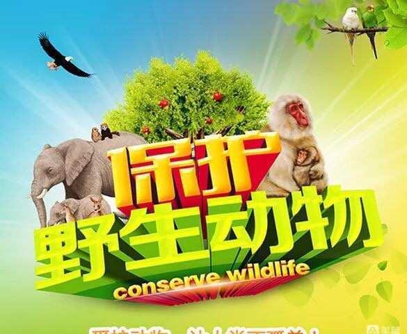 狂热运输2动物多样性任务	