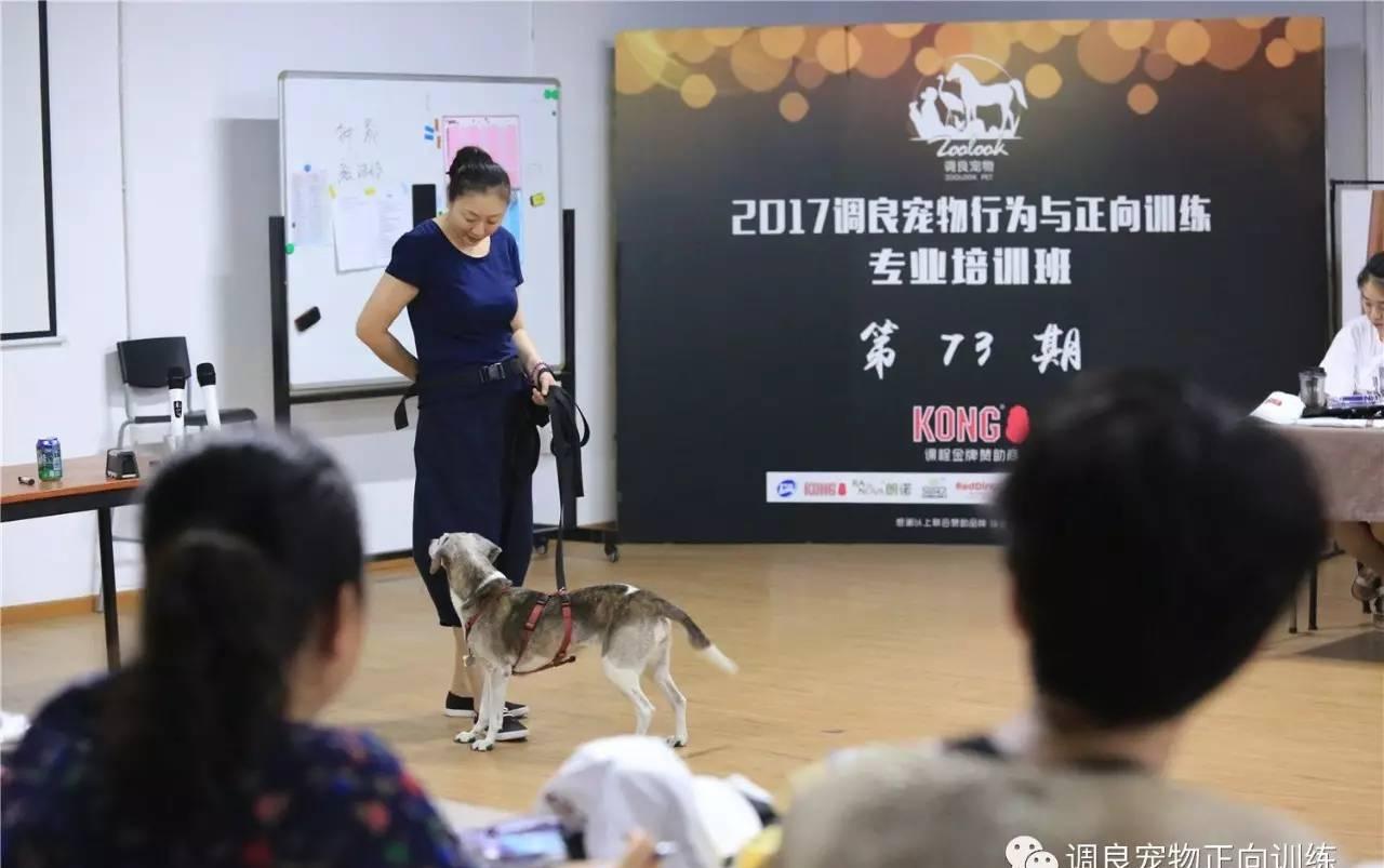 开拓者拥王者 怎么骑宠	
