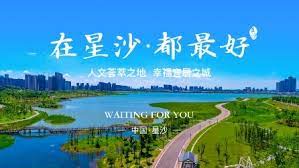 幽灵行2023温州航线	
