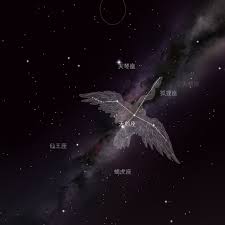 星空旅馆，圆梦天鹅座