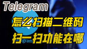 纸飞机二维码：好奇心驱使的创意拼图