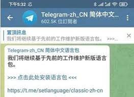 飞机汉化：gs航空公司的努力