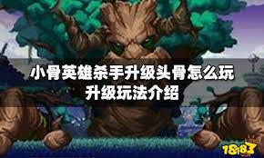 小骨英雄，头骨装备升级指南！