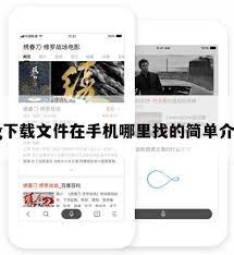 安卓纸飞机秘密储存路径揭示